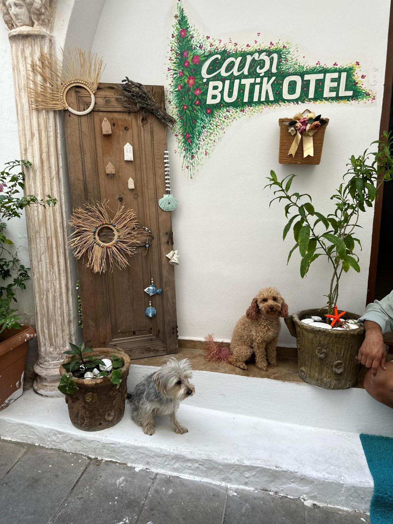 Carsi Butik Otel بودروم المظهر الخارجي الصورة